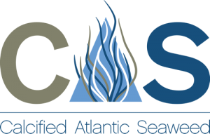 CAS - Calcified Atlantic Seaweed - Logo