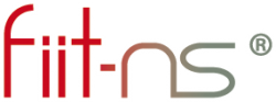 Fiit-Ns Logo