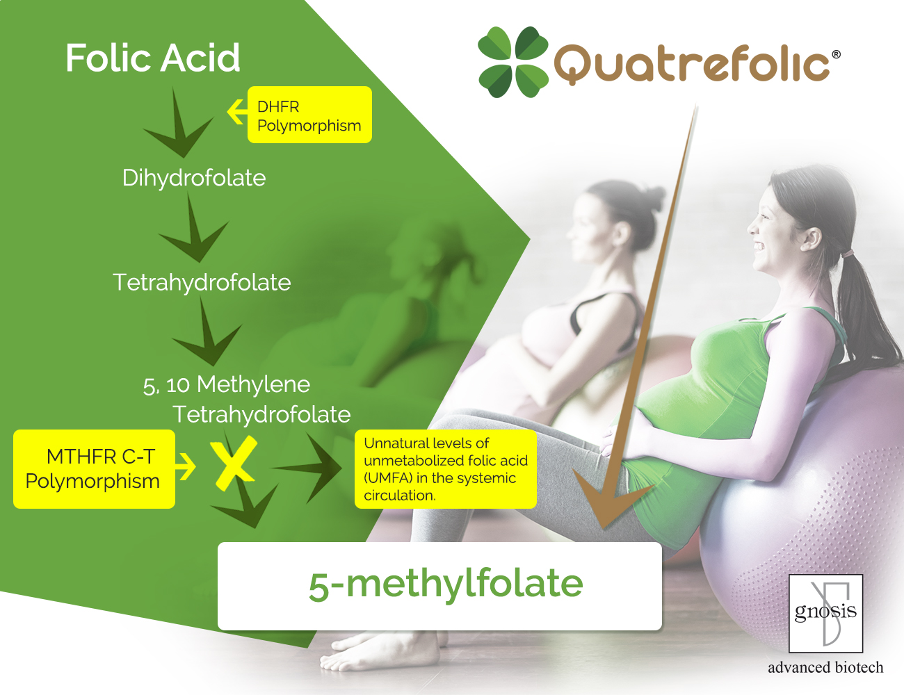 Quatrefolic - 5MTHF